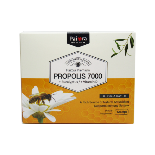 파이오라 프로폴리스 7000+유칼립투스+비타민 D 120캡슐